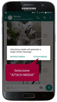 WhatsApp Android export chat