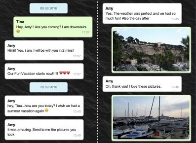 WhatsApp backup book