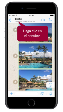 WhatsApp iPhone export chat
